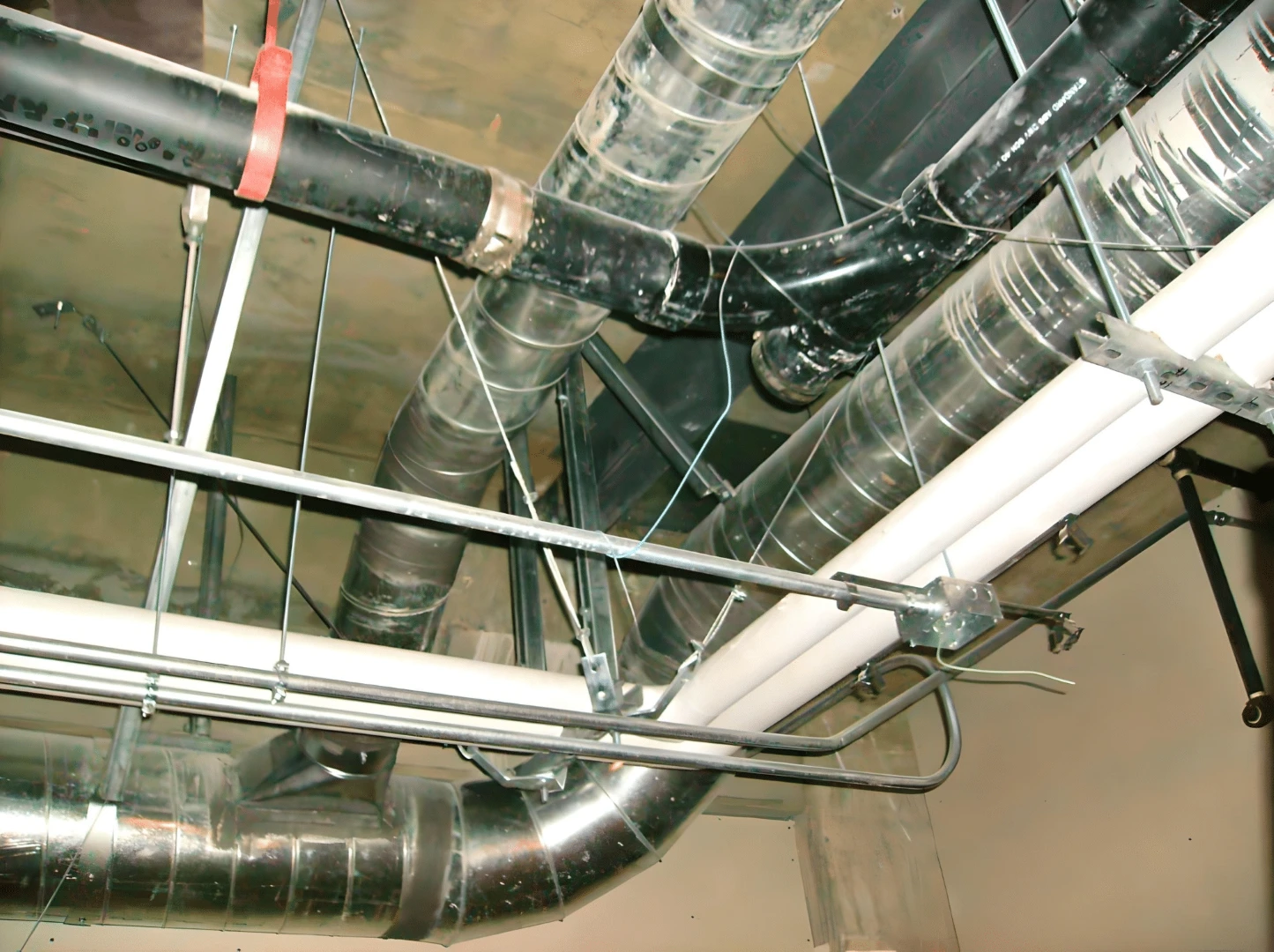 photo-1-for-website-fotor-20230818153340